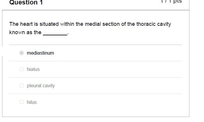 Module 11 graded exam